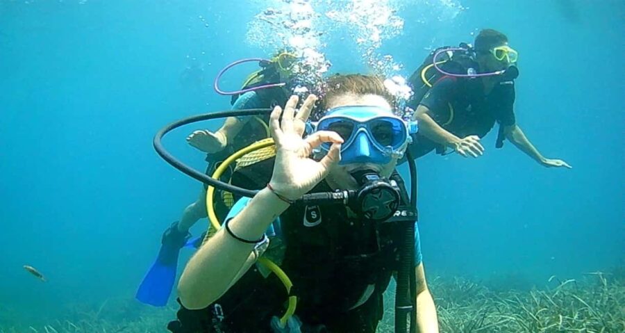 Brindisi: Underwater scuba diving - The Professional Guidance of APULIA MULTIADVENTURE