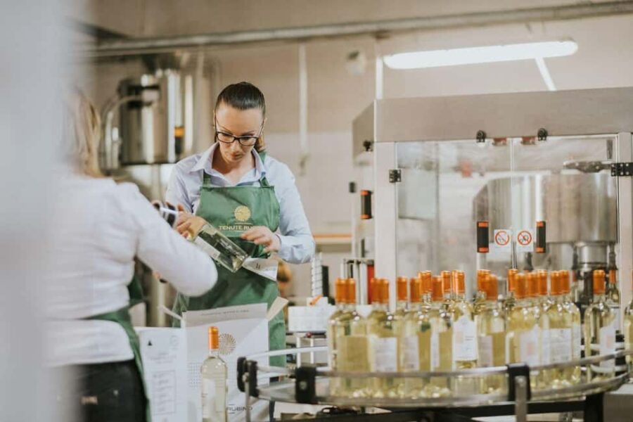 Brindisi: Winery Tour & Guided Selection Wine Tasting - Visiting the Winery: A Guided Tour of Production and Barrel Rooms