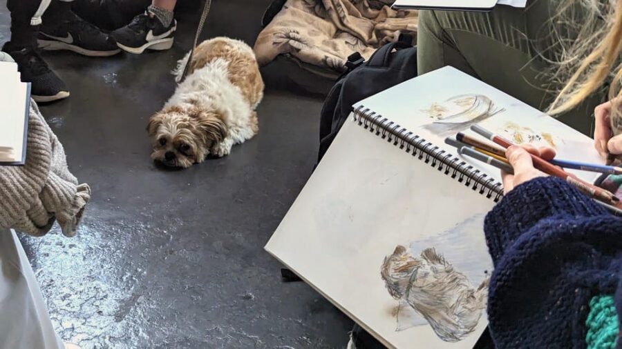 Bristol: Dog Life Drawing led by local Artist Cai Burton - Meet the Bristol Dog Life Drawing Venue at Jamaica Street Studios