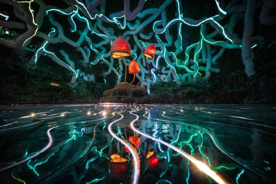 Bristol: Wake The Tiger Amazement Park Entry Ticket - The Creative Setting of Bristol’s Wake The Tiger