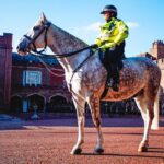 British Royalty Walking Tour & Visit the Tower of London - Starting Point: The Ritz London and the First Glimpse of Buckingham Palace