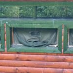 Brown Bear Photography Experience in Harghita County - Optimal Light Conditions for Photography