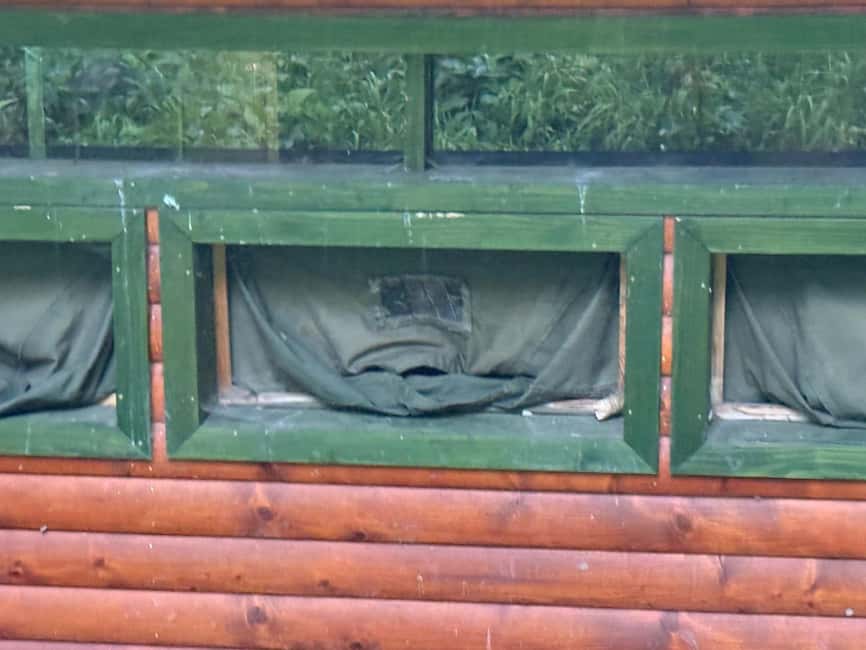 Brown Bear Photography Experience in Harghita County - Optimal Light Conditions for Photography