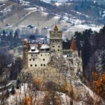 Brown Bear Sanctuary, Bran Castle & Rasnov Fortress Day Tour - Starting Point in Brasov and Rounded Trip