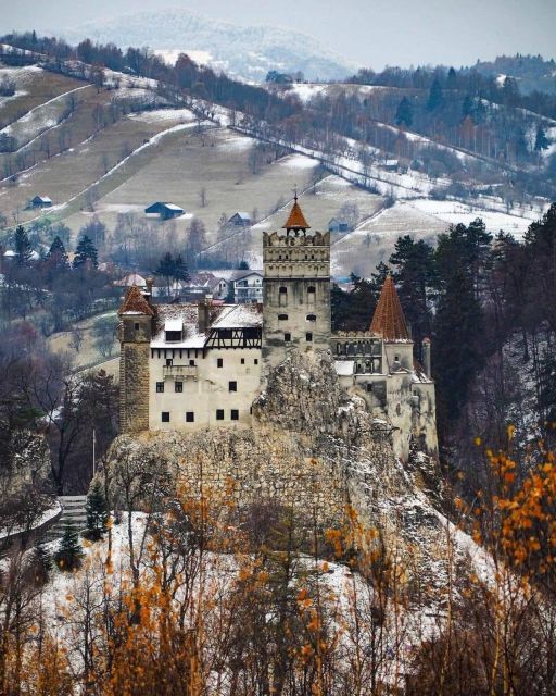 Brown Bear Sanctuary, Bran Castle & Rasnov Fortress Day Tour - Starting Point in Brasov and Rounded Trip