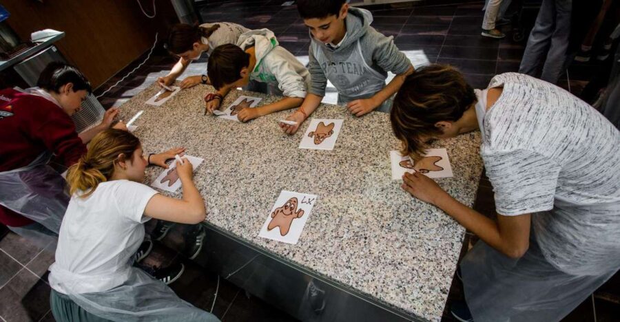 Bruges: Chocolate Making Workshop and Chocolate Museum Entry - Making Your Own Chocolates with an Expert Chocolatier