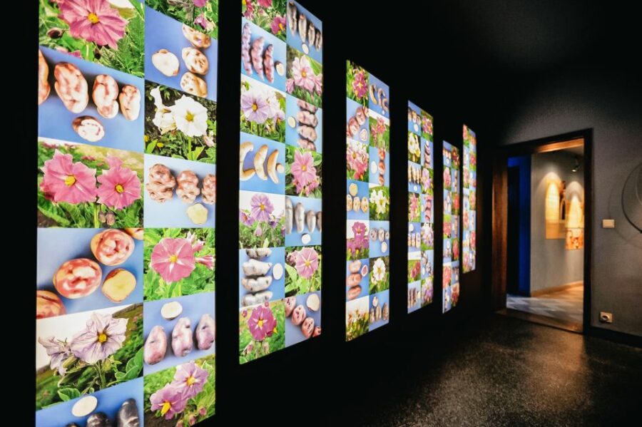 Bruges: Frietmuseum Entry Ticket - The Unique Location of the Museum in Bruges