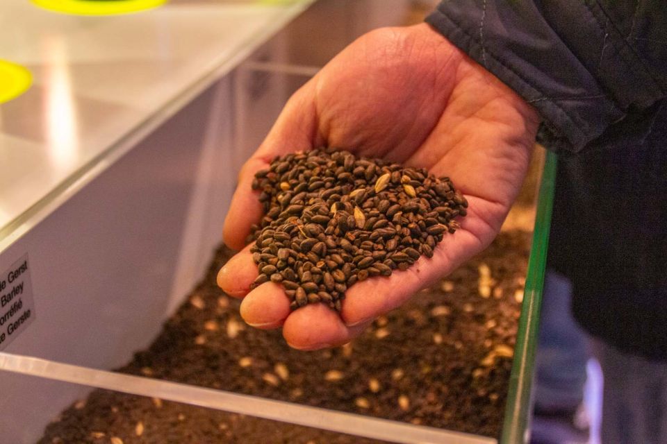 Bruges: History, Chocolate and Beer Walking Tour - From the Market Square to the Beguinage: Iconic Stops and Hidden Corners