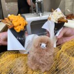 Brussels Day Trip from Paris or Amsterdam by Mini-Van - From Paris or Amsterdam to Brussels: The Comfortable Journey