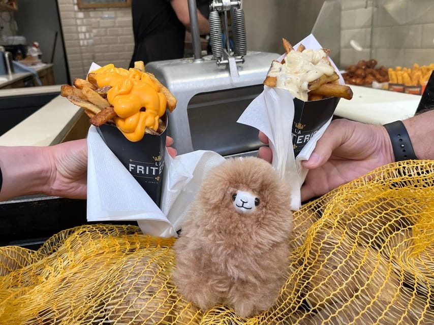 Brussels Day Trip from Paris or Amsterdam by Mini-Van - From Paris or Amsterdam to Brussels: The Comfortable Journey