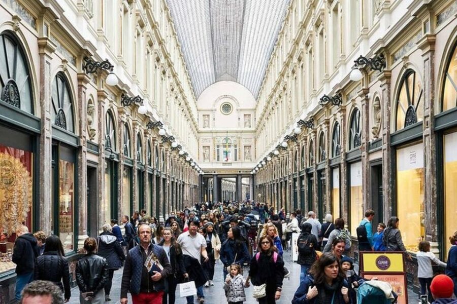 Brussels: Private City Highlights Tour in a Mercedes-Benz - Exploring the Royal Palace and Mont des Arts