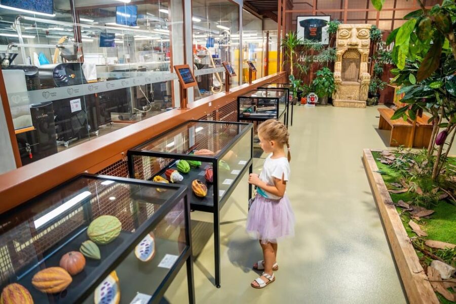 Brussels: Private Family Tour. Highlights, Tasting & Museum - Starting Point at Pl. Saint-Géry and the Saint-Géry Market