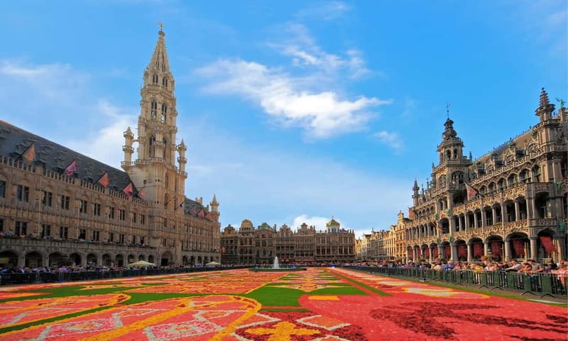 Brussels: Private Highlights Tour - From Hotel Pickup to Medieval Brussels at Grand-Place