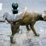 Brussels: Secret Paths and Stories Private Walking Tour - The Charm of Place Sainte-Catherine and Its Maritime Roots