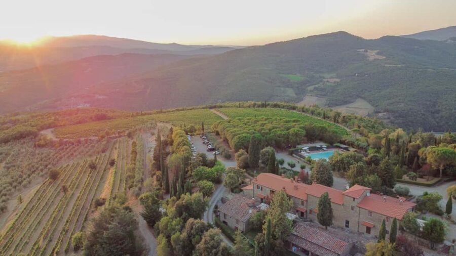 Buccia Nera Winery: Picnic, Vineyard, Wine, Food and Nature - How the Picnic Basket Reflects Local Tuscan Flavors