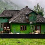 Bucharest: Brown Bears Sanctuary and Quad Tour - Off-Road Quad Riding in the Carpathian Mountains