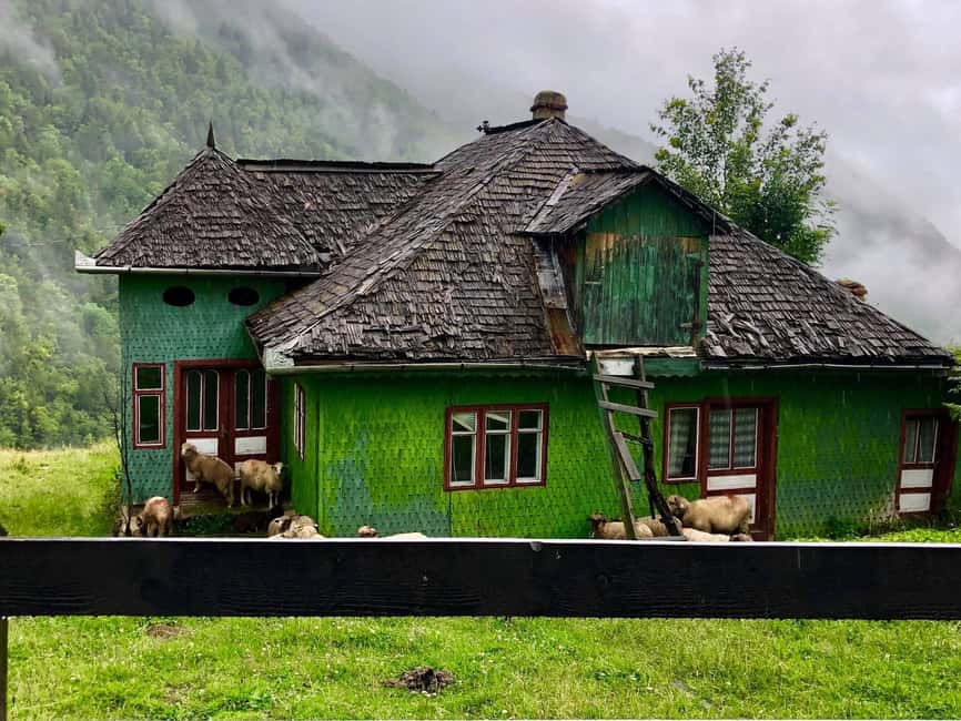 Bucharest: Brown Bears Sanctuary and Quad Tour - Off-Road Quad Riding in the Carpathian Mountains