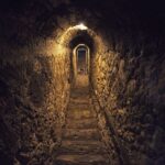 Bucharest: Dracula Castle, Peles Castle & Brasov Guided Tour - Visiting Peles Castle: Romania’s Neo-Renaissance Treasure