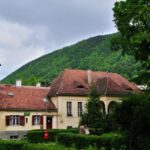 Bucharest: Peles Castle, Dracula's Castle and Brasov Tour - Exploring Medieval Brasov