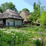 Bucharest: Private City Tour Guided Experience - Discover the Old Town’s Charm in the Lipscani Neighborhood