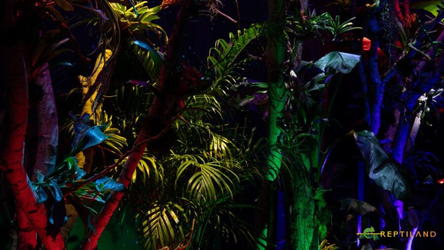 Bucharest: Reptiland Bucharest Entry Ticket - Convenient Location in Bucharests Expo Building