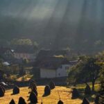 Bucharest: Romanian Villages & Countryside Tour - Exploring Romania’s Rural Heritage at the Village Museum