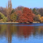 Bucharest Sightseeing Tour - Starting Point at Piata Presei Libere