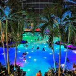 Bucharest: Therme Bucharest Spa Day with Luxury Transfer - Explore the Exotic Gardens and Palm Tree Retreats