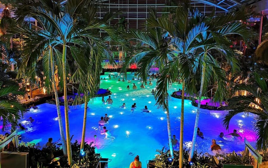 Bucharest: Therme Bucharest Spa Day with Luxury Transfer - Explore the Exotic Gardens and Palm Tree Retreats