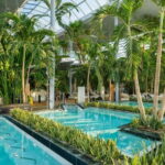 Bucharest: Therme Bucuresti Entry Ticket with Transfer - Relaxation and Wellness in the Palm Zone