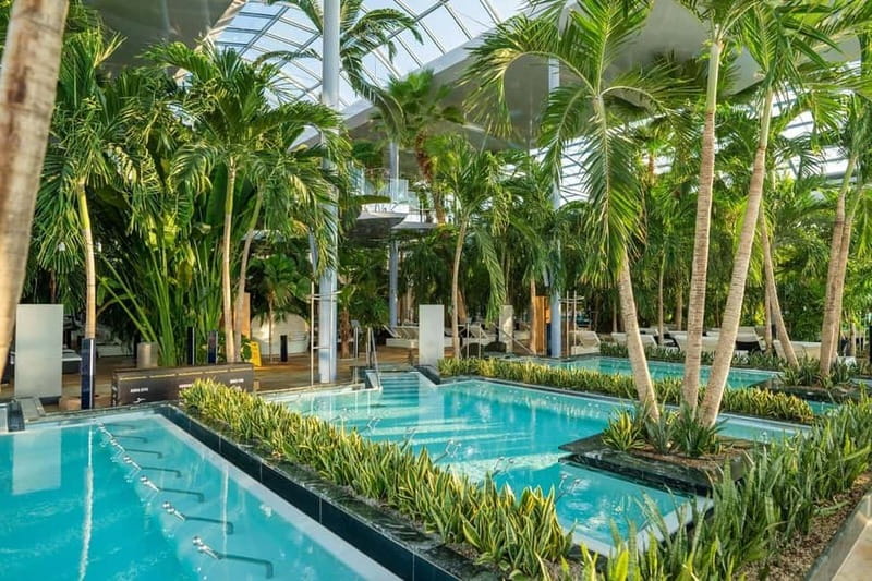 Bucharest: Therme Bucuresti Entry Ticket with Transfer - Relaxation and Wellness in the Palm Zone