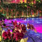 Bucharest: Therme Spa Night Experience with Transfer - Convenient Transfer from Central Bucharest to Therme