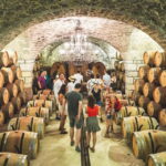 Bucharest: Tour The Wine Road, 2 Boutique Wineries in 1 Day - Starting Point and Transportation Options in Bucharest