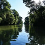 Bucharest: Tour to Danube Delta 2-Days With Boat Tour - Discovering the Danube Delta’s Scenic Waterways by Boat