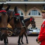 Buckingham Palace: Admission ticket to The Royal Mews - Viewing the Historic Coaches and Carriages