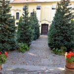 Budapest: 2.5-hour Hidden Sights Private Bike Tour - Exploring Pest’s Cobblestone Streets and Palaces