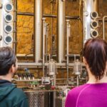 Budapest: Hungarian Whisky, Gin, and Pálinka Tasting - The Historic Agardi Distillery Near Budapest