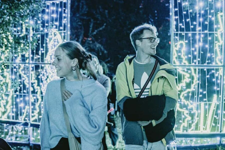 Budapest: Lumina Light Park Wonderworld Entry Ticket - The Entrance and Ticketing Process for Lumina Park