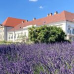 Budapest: private sightseeing tour by public transportation - Starting Point and Tour Flexibility