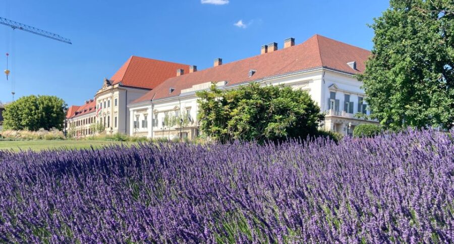 Budapest: private sightseeing tour by public transportation - Starting Point and Tour Flexibility