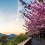 Budapest Private Walking Tour - Visiting Heroes Square and the City Park