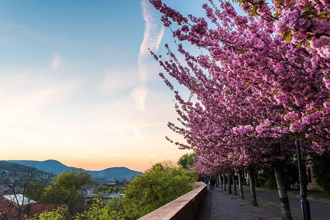 Budapest Private Walking Tour - Visiting Heroes Square and the City Park