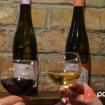 Budapest: Wine Tasting with Fun Games and Delicious Snacks - Starting at a Family-Owned Hungarian Wine Bar