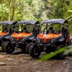 Buggy Adventure in Madeira off Road - What Makes This Buggie Tour Unique on Madeira