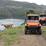 Buggy Adventure with Incredible Views of the Sea and the Reservoir - Meeting Point and Ease of Access in Marbella