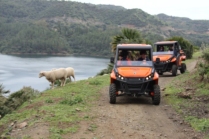Buggy Adventure with Incredible Views of the Sea and the Reservoir - Meeting Point and Ease of Access in Marbella