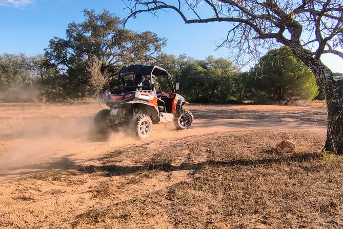 Buggy Expedition - Half-Day Off-Road Guided Tour from Albufeira - Key Points