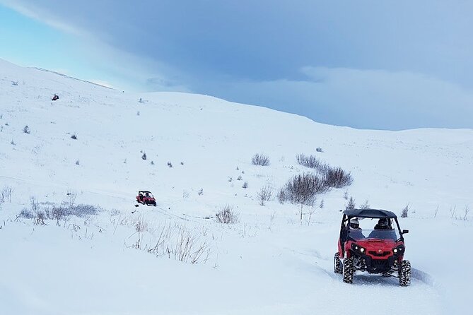 Buggy & Golden Circle adventure from Reykjavik - Logistics and Group Size: Comfort and Safety