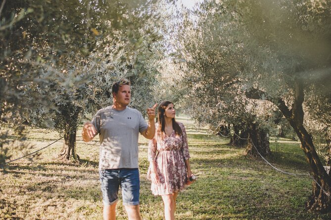 Buje: Authentic Istrian family farm, guided walk, foods & wine - Meeting at Olivo Istriano Near Buje for a Personal Farm Tour