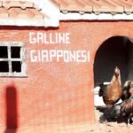 Burgos: visit to a farm with tasting - Location and How to Find the Farm in Burgos